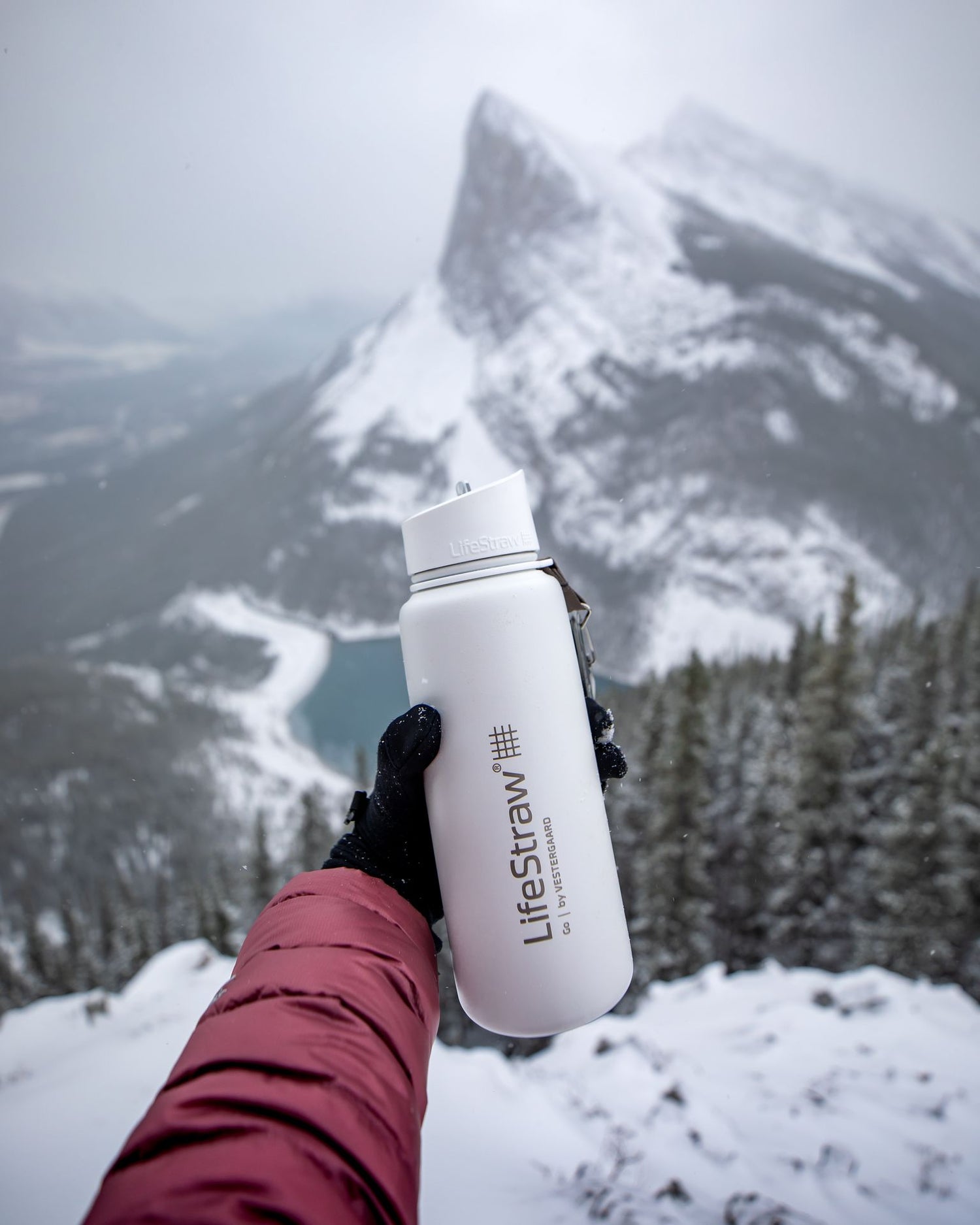 LifeStraw Go Stainless Steel Water Bottle with Filter-24oz-Black